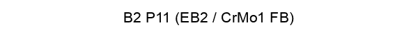 B2 P11 (EB2 / CrMo1 FB)