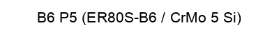 B6 P5 (ER80S-B6 / CrMo 5 Si)